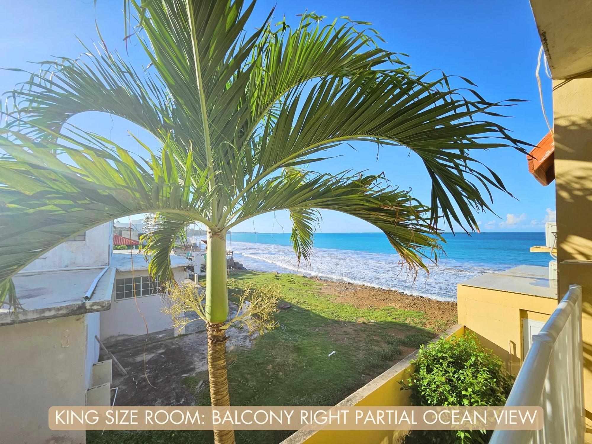 Selva Boutique Hotel - Luquillo Oceanfront Retreat - Adults Only Zewnętrze zdjęcie
