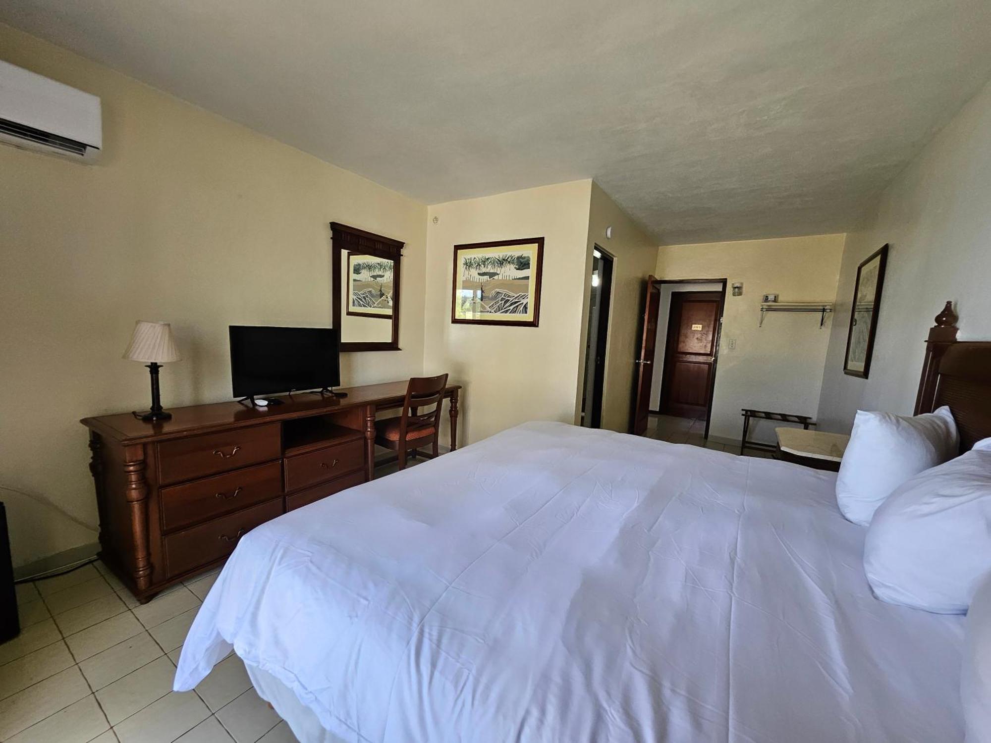 Selva Boutique Hotel - Luquillo Oceanfront Retreat - Adults Only Zewnętrze zdjęcie